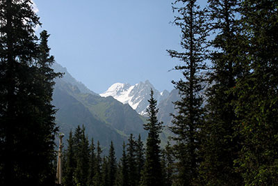 kg_alaarcha02.jpg