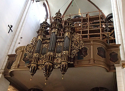 lv_organ.jpg