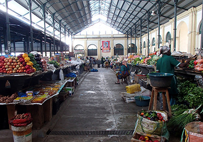 mz_market02.jpg