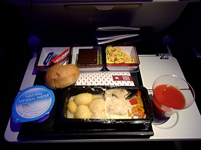 no_flight02.jpg