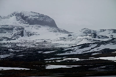 no_highland01.jpg