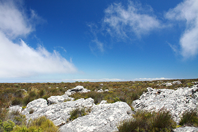 sa_tablemountain02.jpg